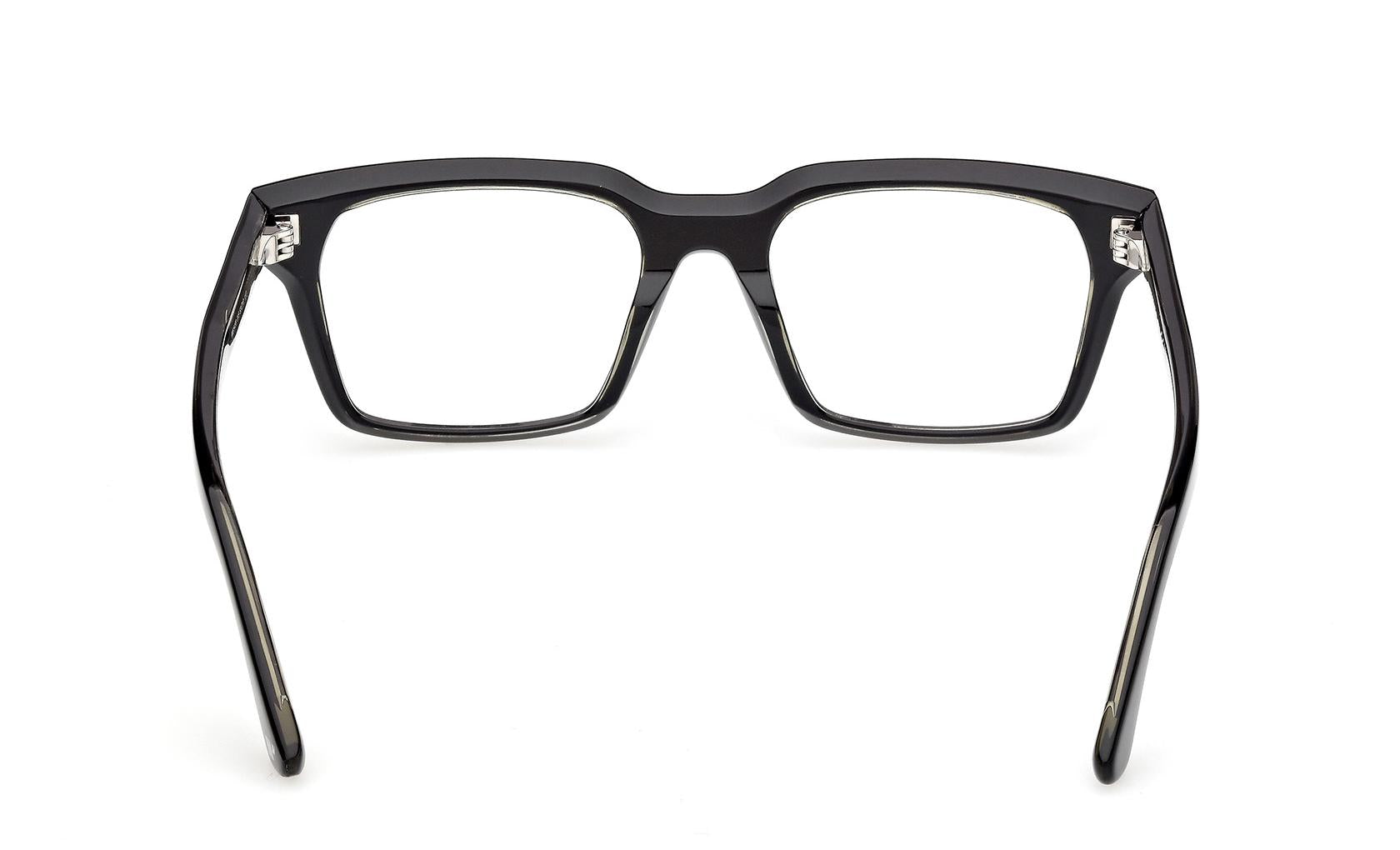 Web Eyeglasses WE5459 005