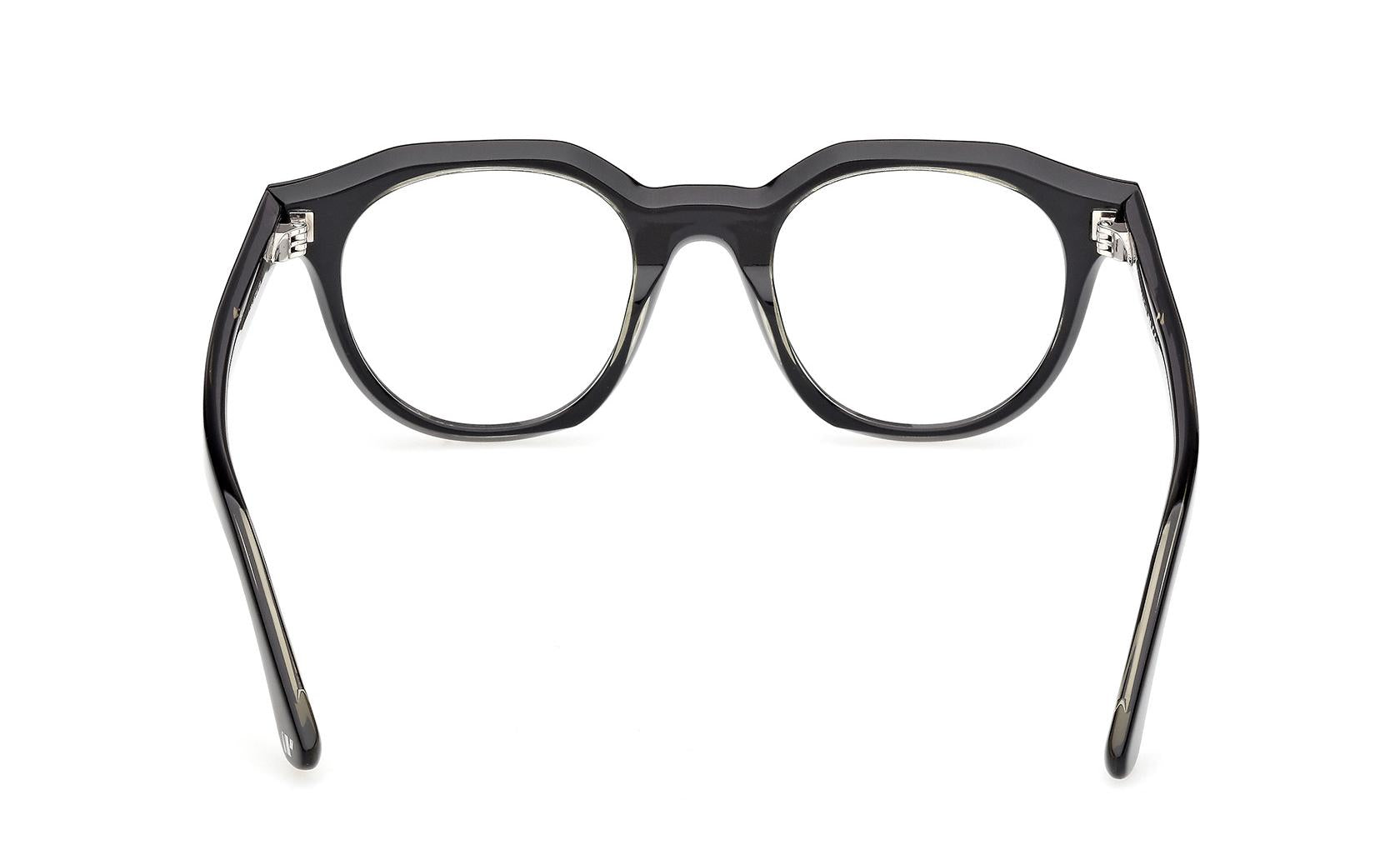 Web Eyeglasses WE5461 005