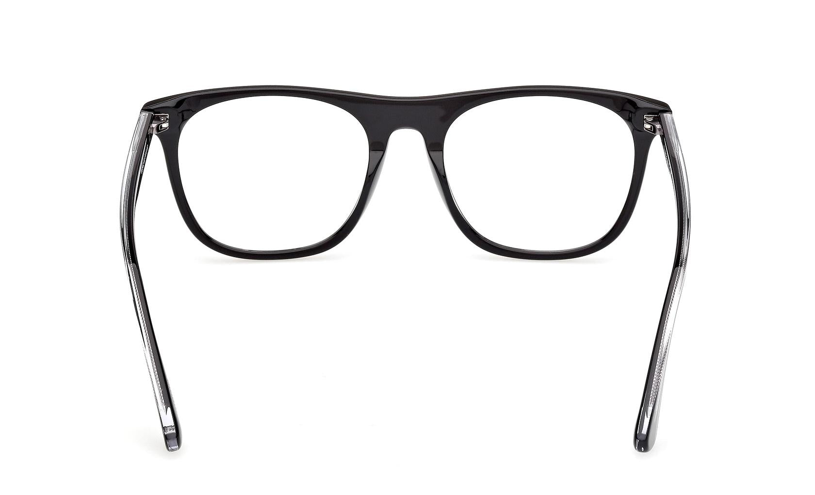 Web Eyeglasses WE5462 005