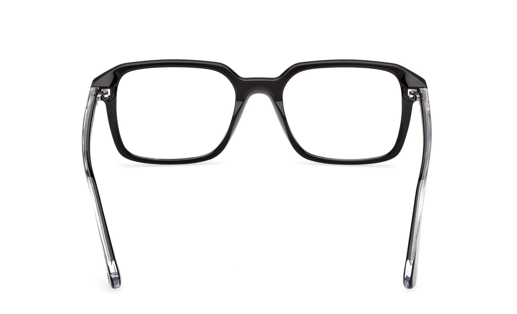 Web Eyeglasses WE5463 005