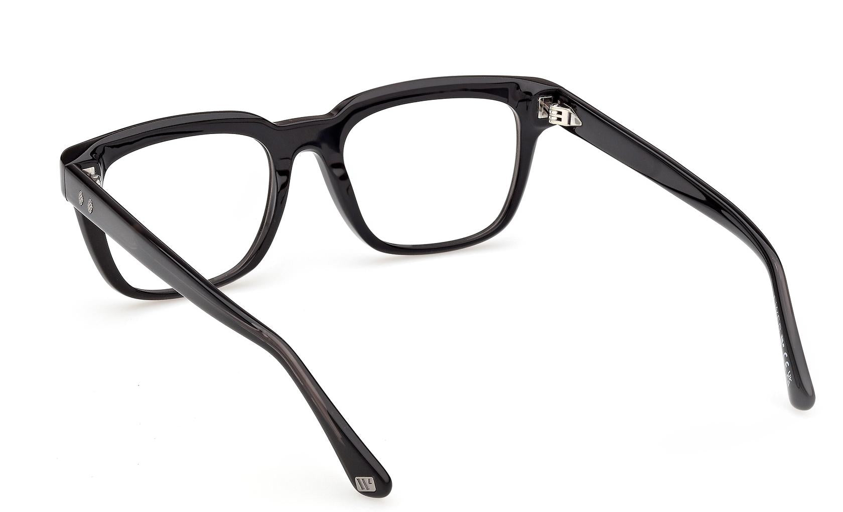 Web Eyeglasses WE5469 005