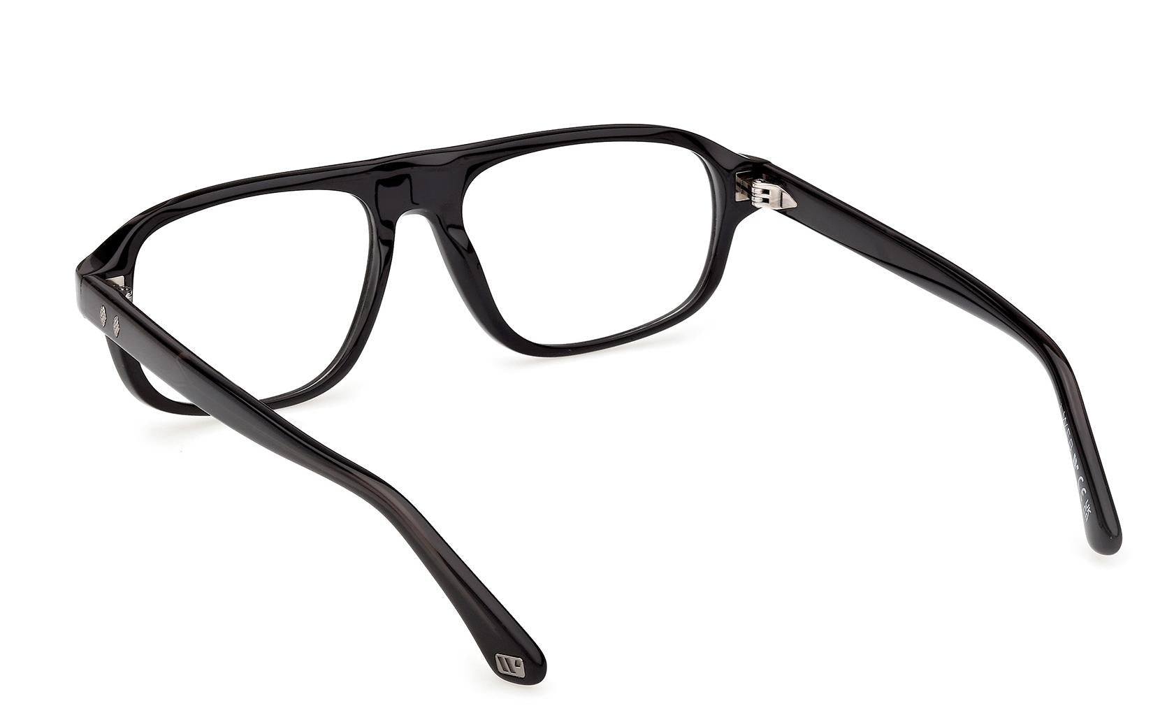 Web Eyeglasses WE5470 005
