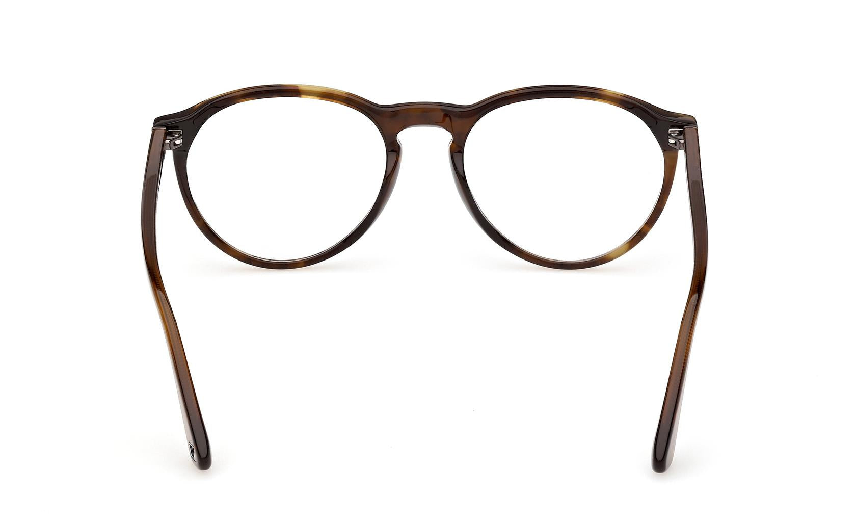 Web Eyeglasses WE5474 056