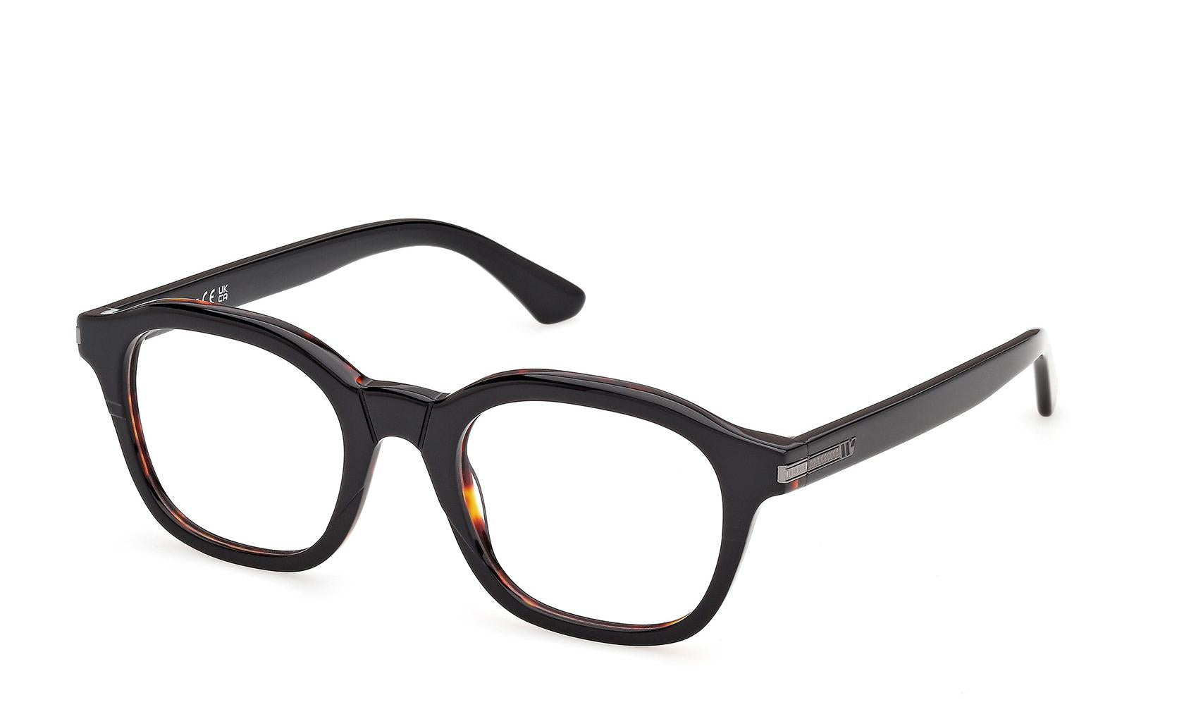 Web Eyeglasses WE5482 005