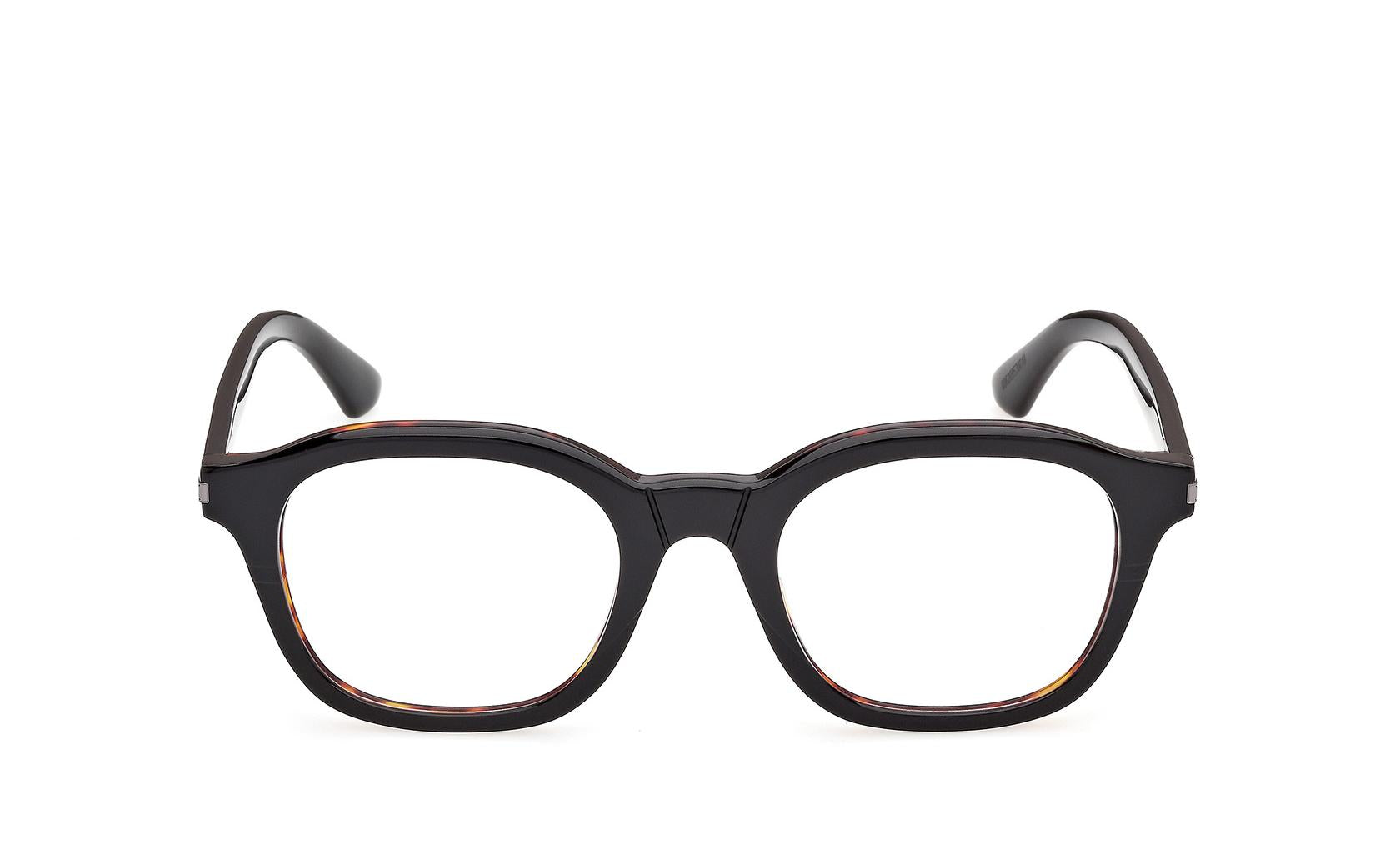 Web Eyeglasses WE5482 005