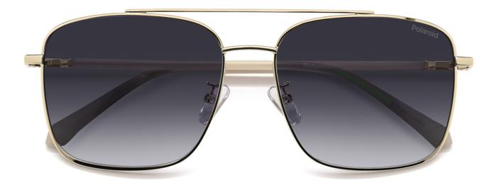 Polaroid {Product.Name} Sunglasses PLD4192/G/S/X 2F7/WJ