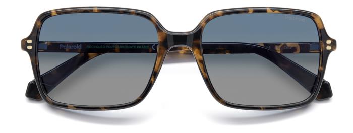 Polaroid {Product.Name} Sunglasses PLD6247/S 086/Z7