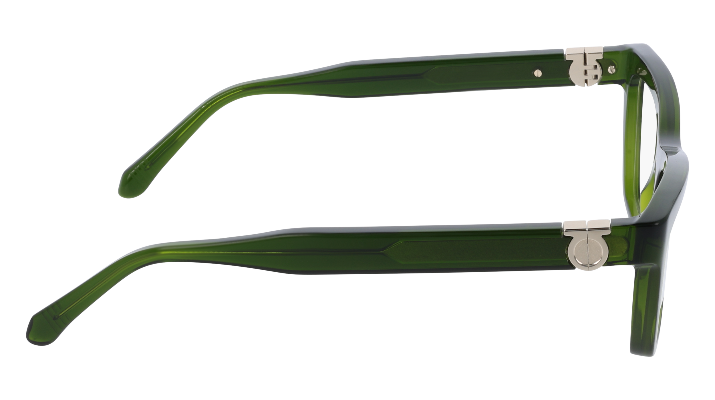 Ferragamo SF3021 317