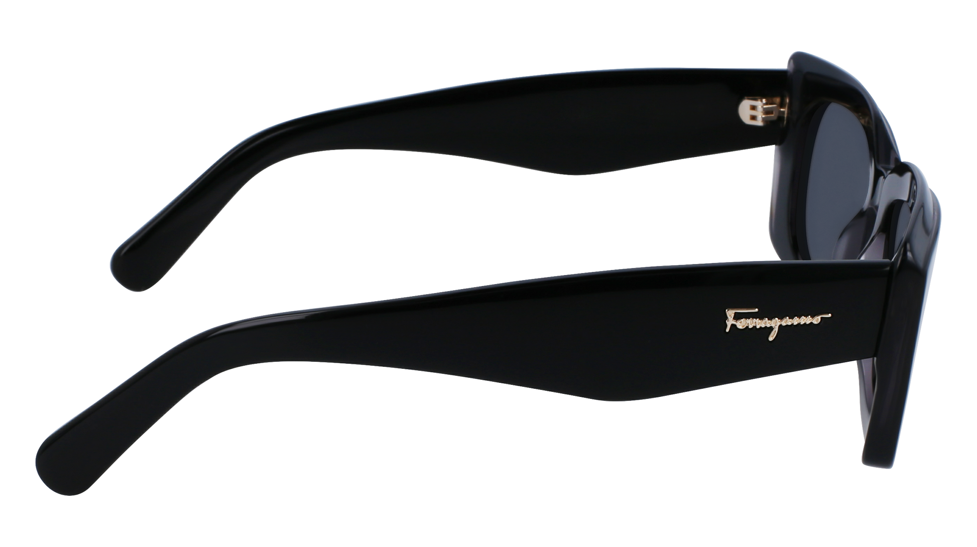 FERRAGAMO Sunglasses SF1079S 22 54
