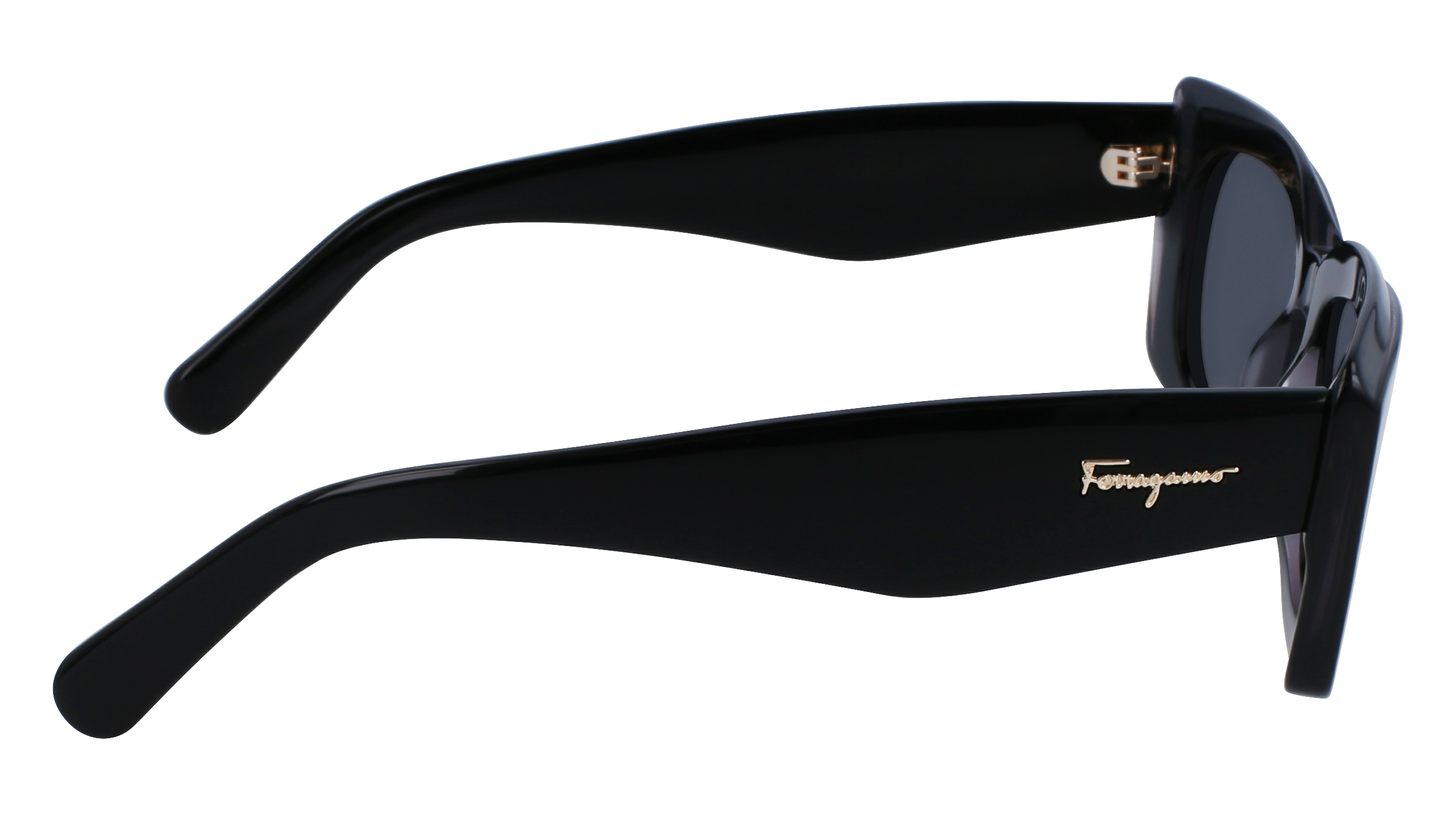 FERRAGAMO Sunglasses SF1079S 22 54