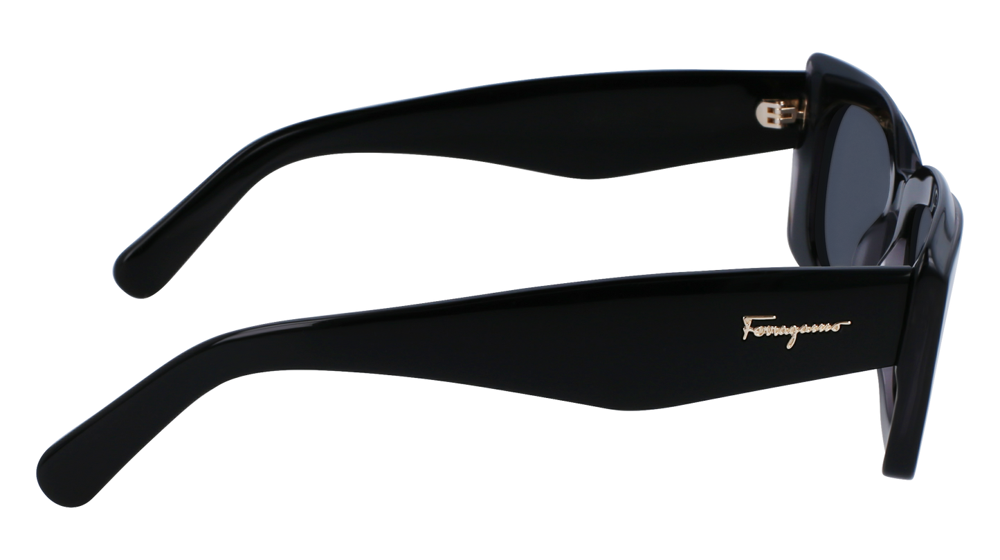 FERRAGAMO Sunglasses SF1079S 22 54