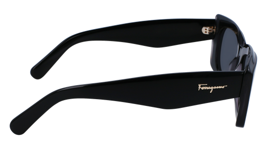 FERRAGAMO Sunglasses SF1079S 22 54