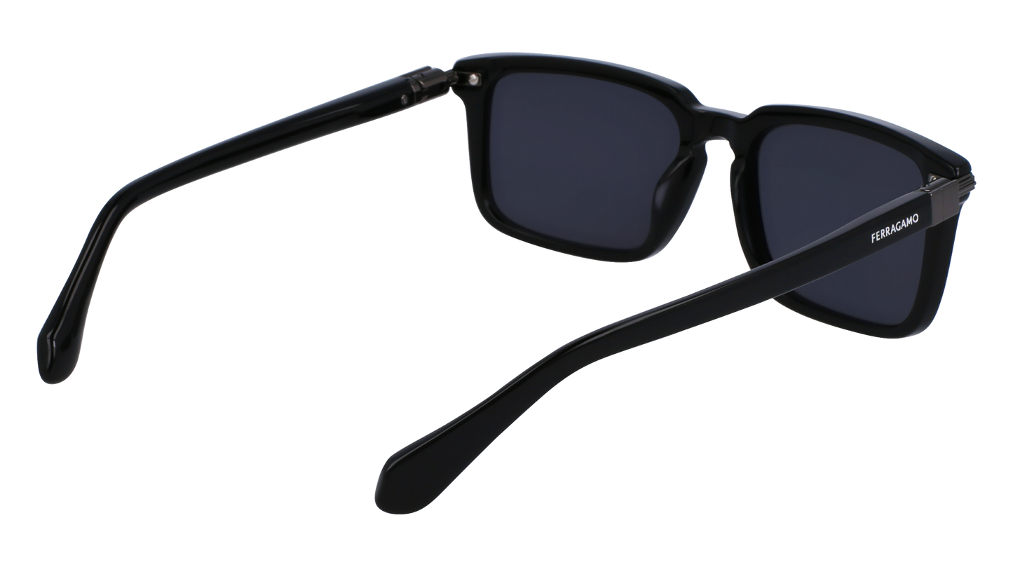 FERRAGAMO Sunglasses SF1110S 1 56