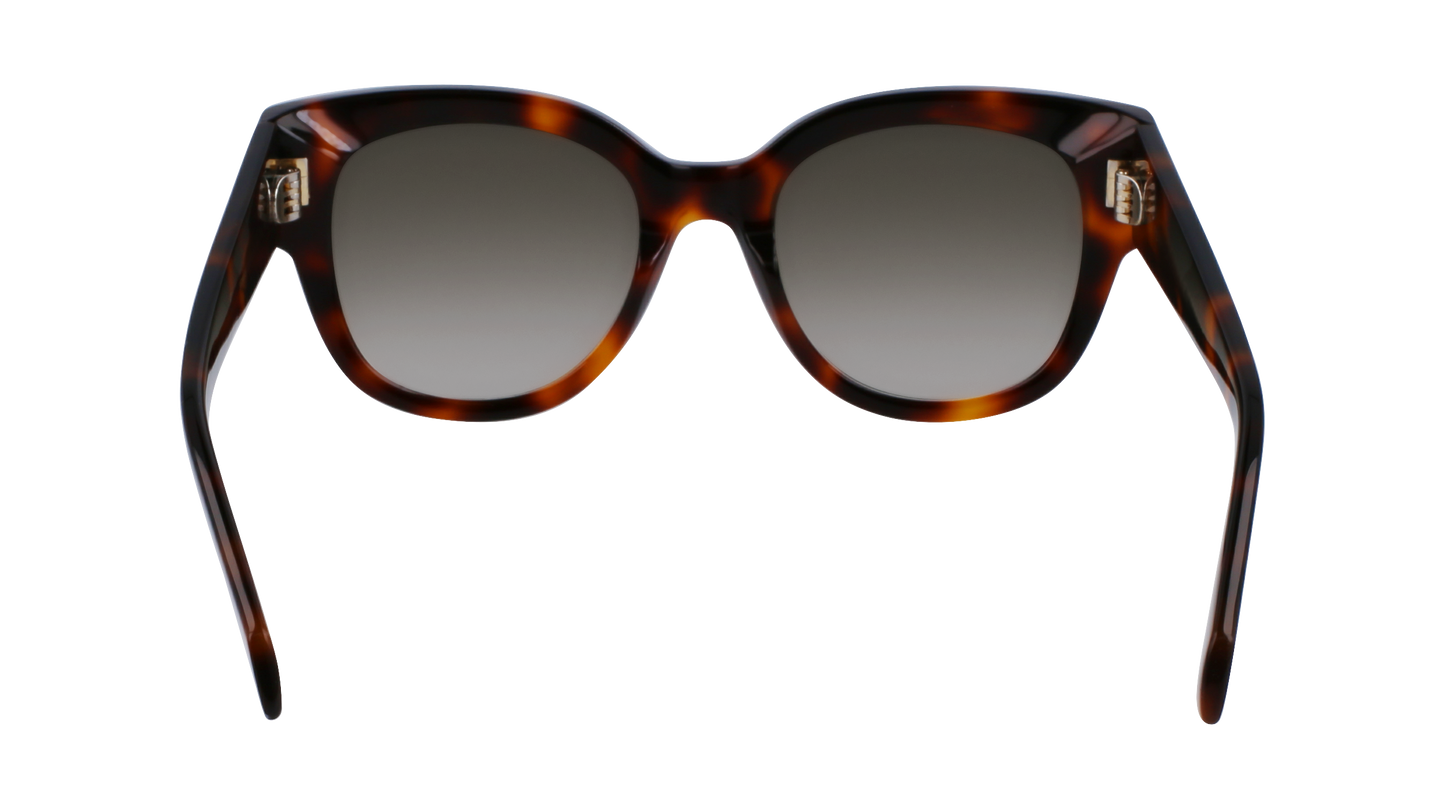 FERRAGAMO Sunglasses SF2007S 240 51