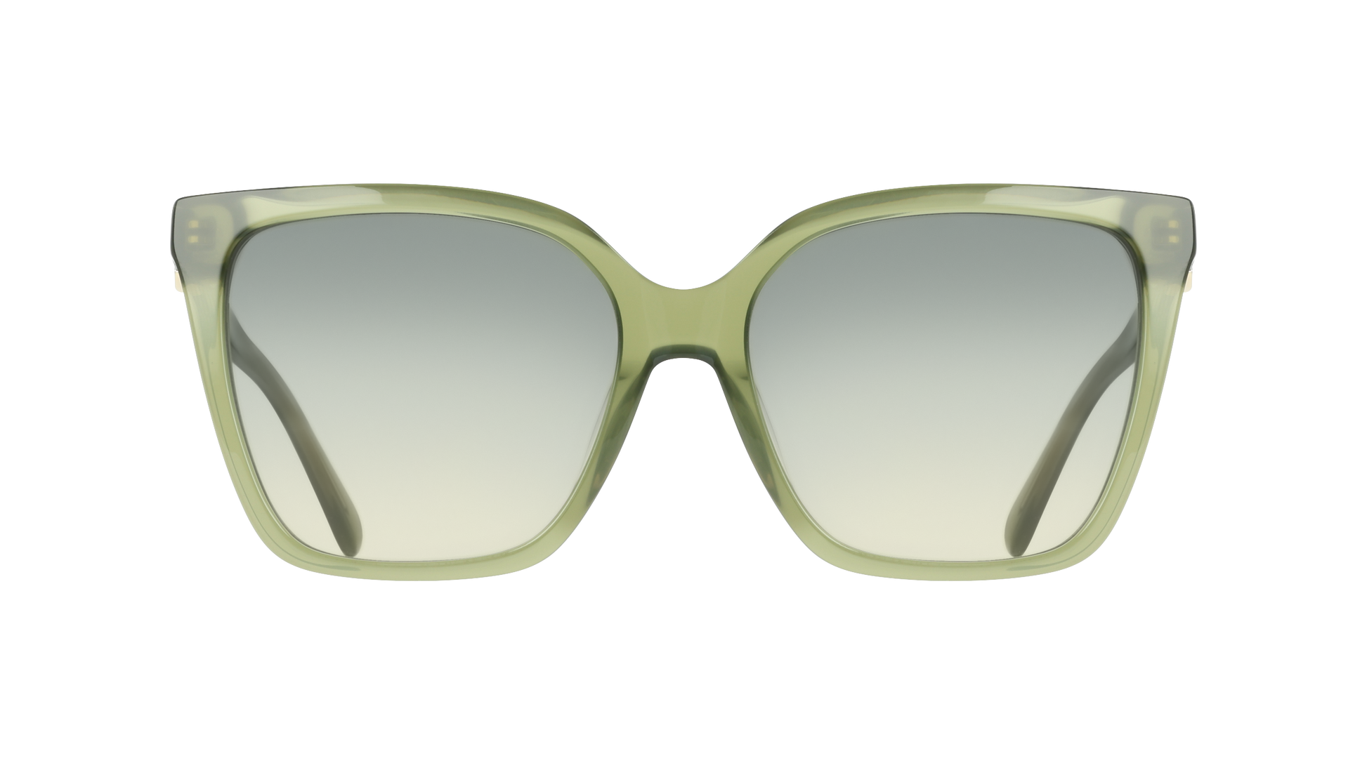 Ferragamo SF2121S 333