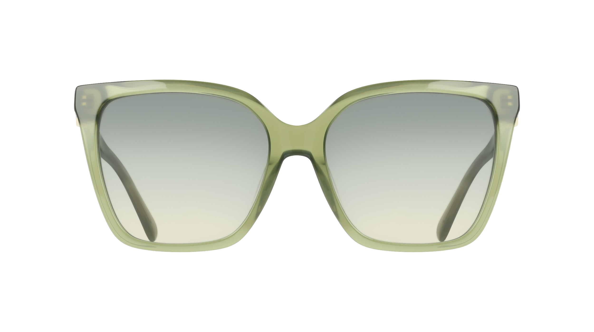Ferragamo SF2121S 333