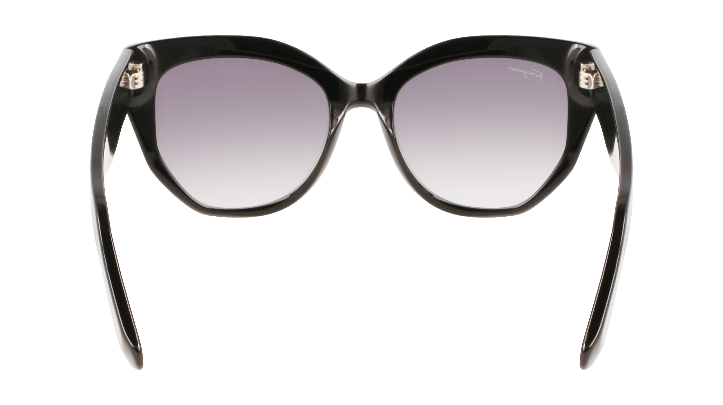 FERRAGAMO Sunglasses SF1061S 1 56