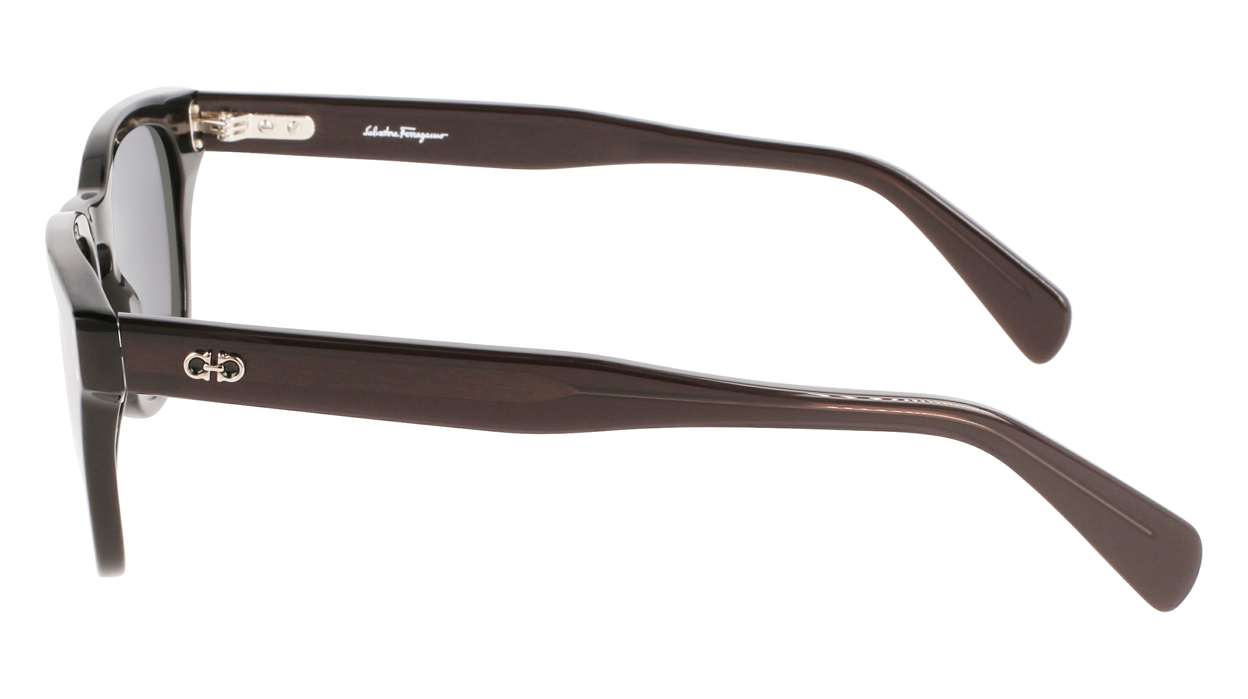 FERRAGAMO Sunglasses SF1057S 1 49