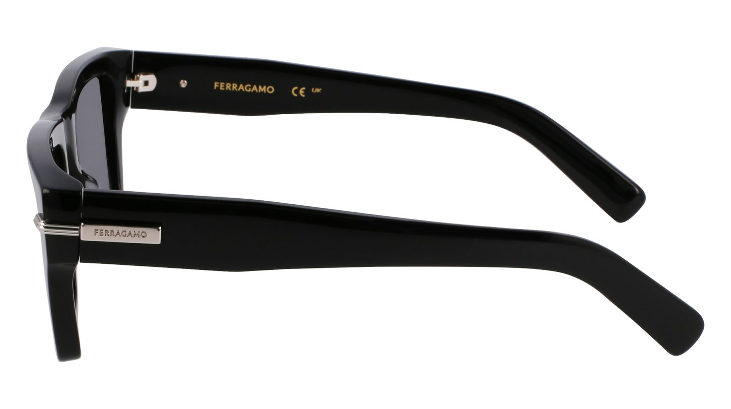 FERRAGAMO Sunglasses SF2033S 1 53