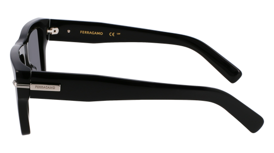 FERRAGAMO Sunglasses SF2033S 1 53