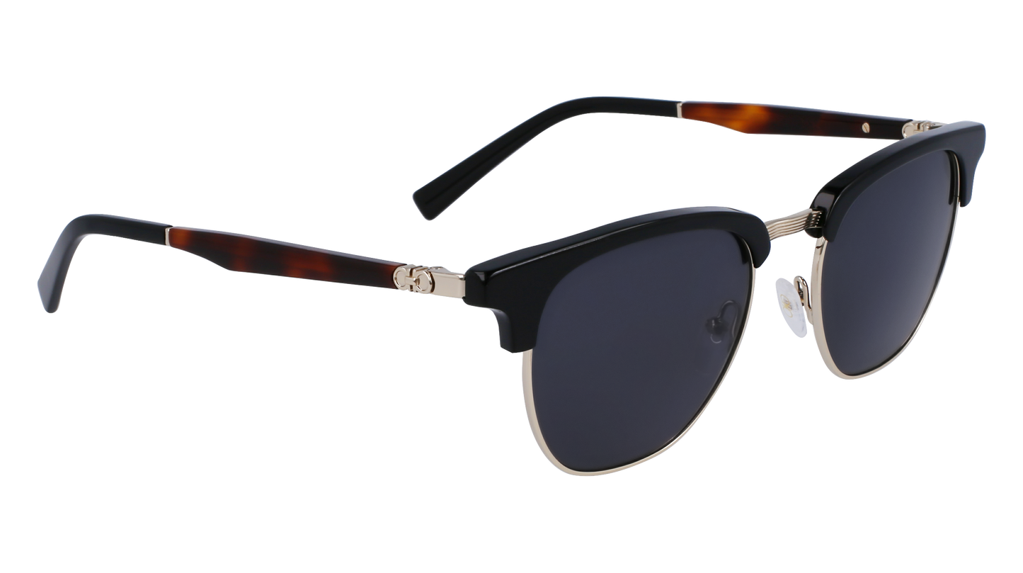 FERRAGAMO Sunglasses SF307S 11 53