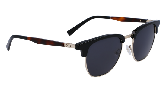 FERRAGAMO Sunglasses SF307S 11 53