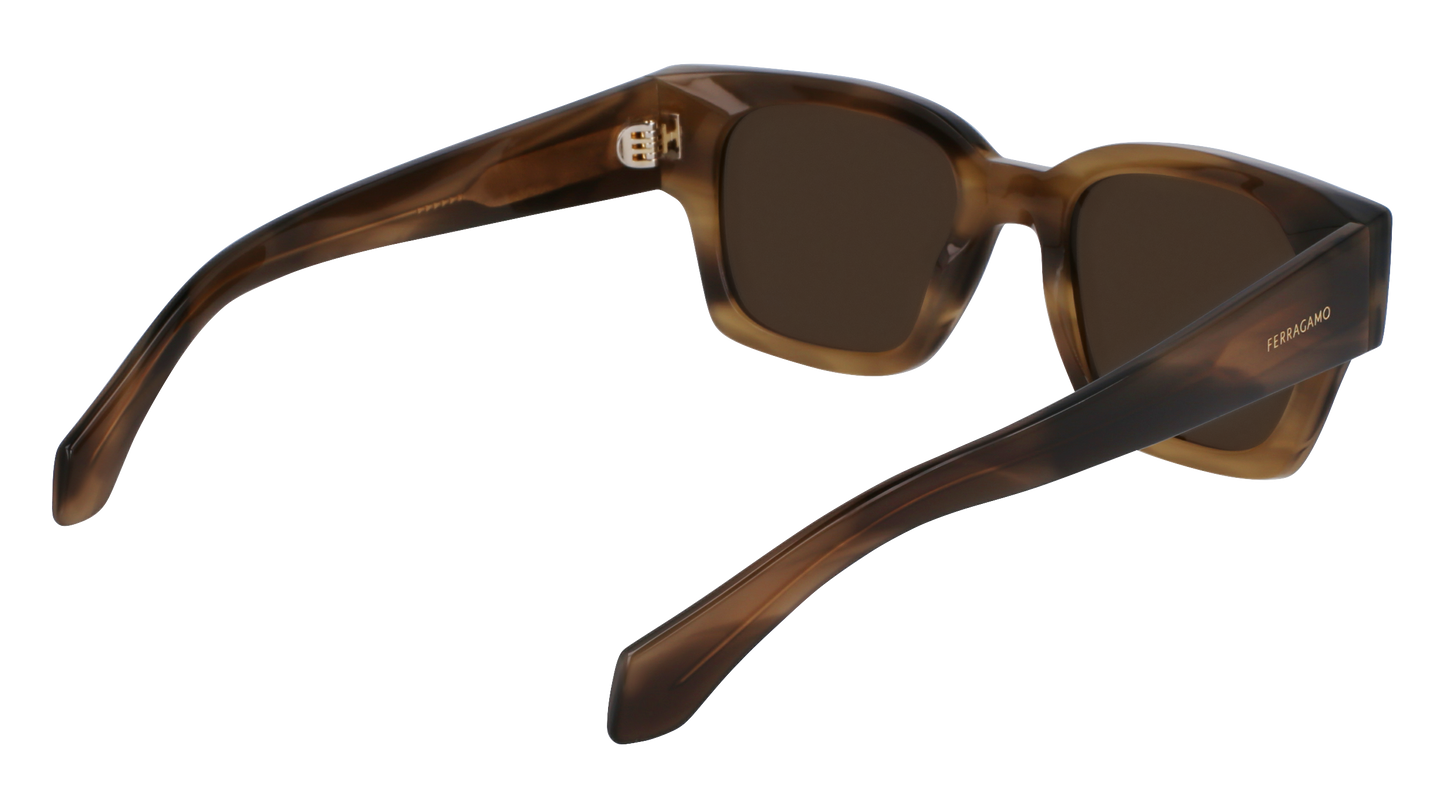 FERRAGAMO Sunglasses SF2010S 319 52