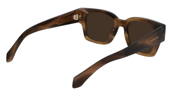 FERRAGAMO Sunglasses SF2010S 319 52