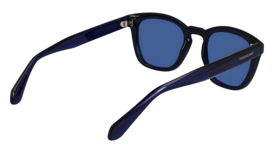 FERRAGAMO Sunglasses SF2040SE 432 50