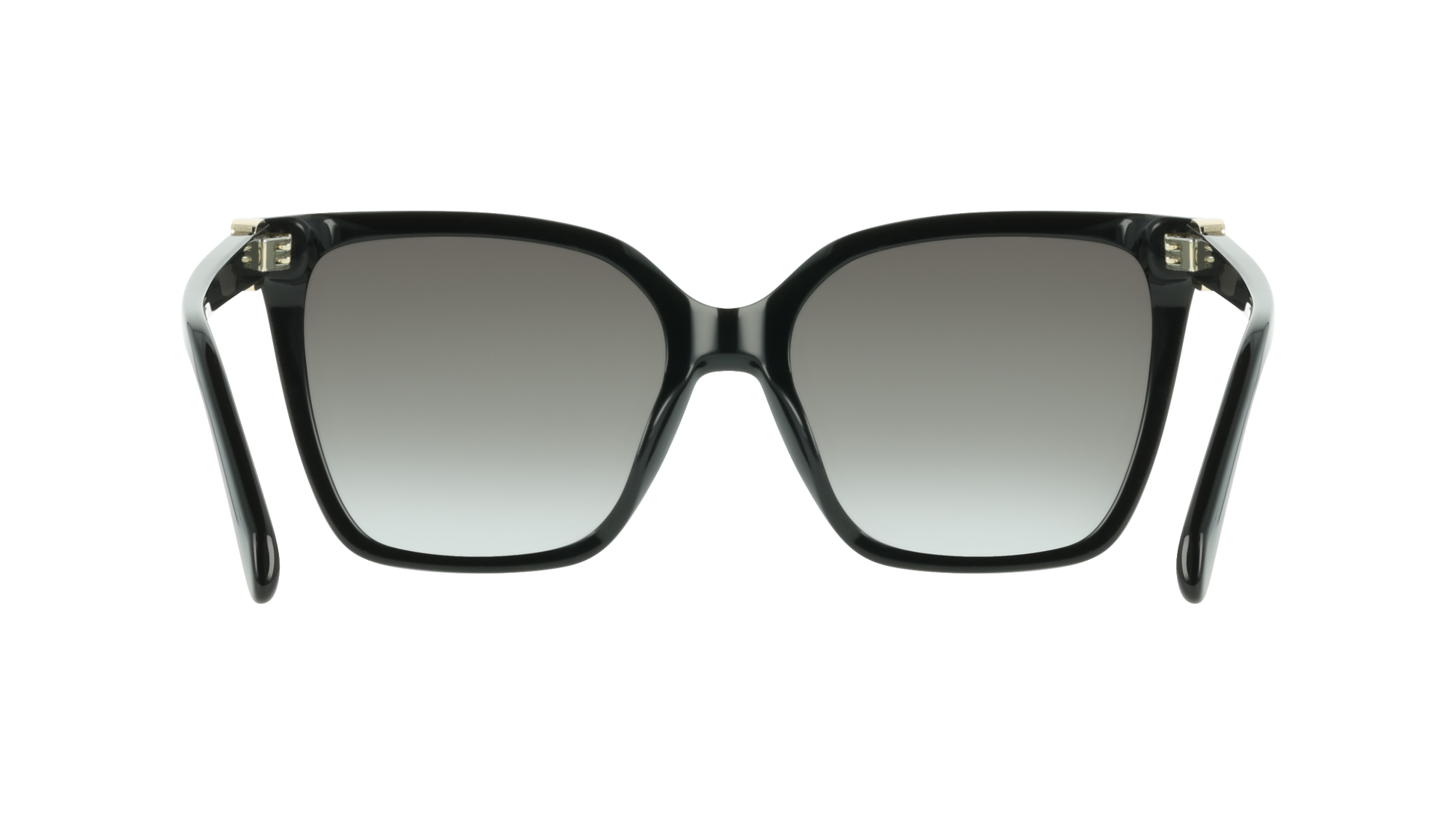 Ferragamo SF2121S 1