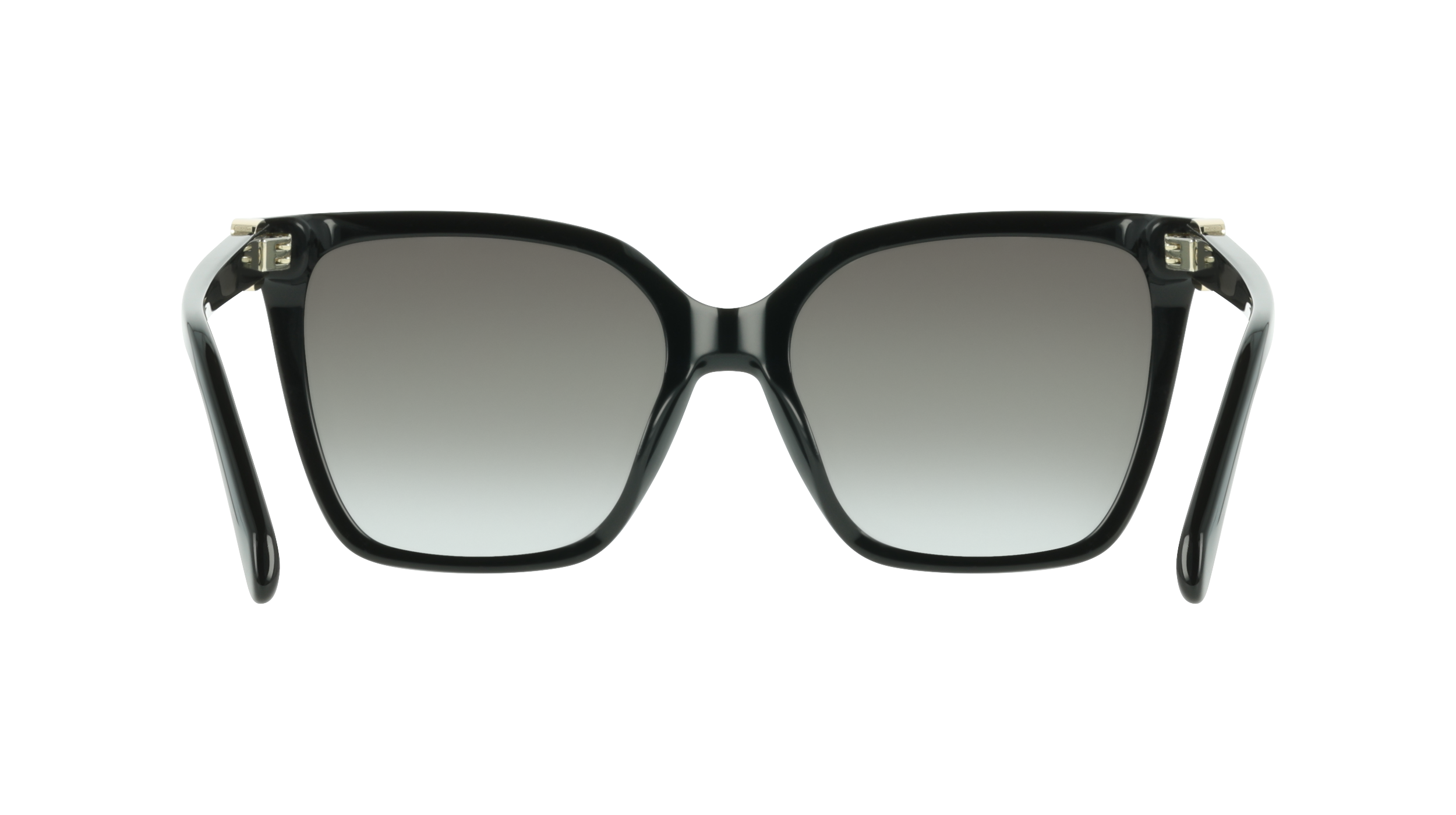 Ferragamo SF2121S 1