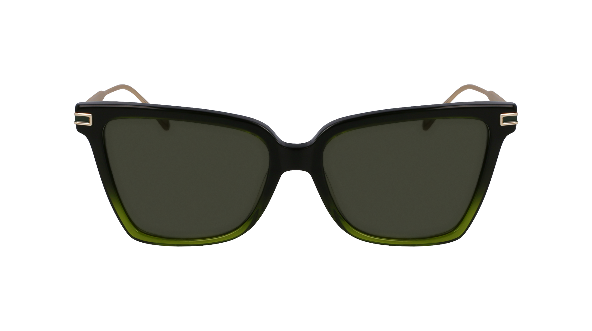 ferragamo goggles Ferragamo SF2036S 316 - Gradient transparent dark gree Sunglasses