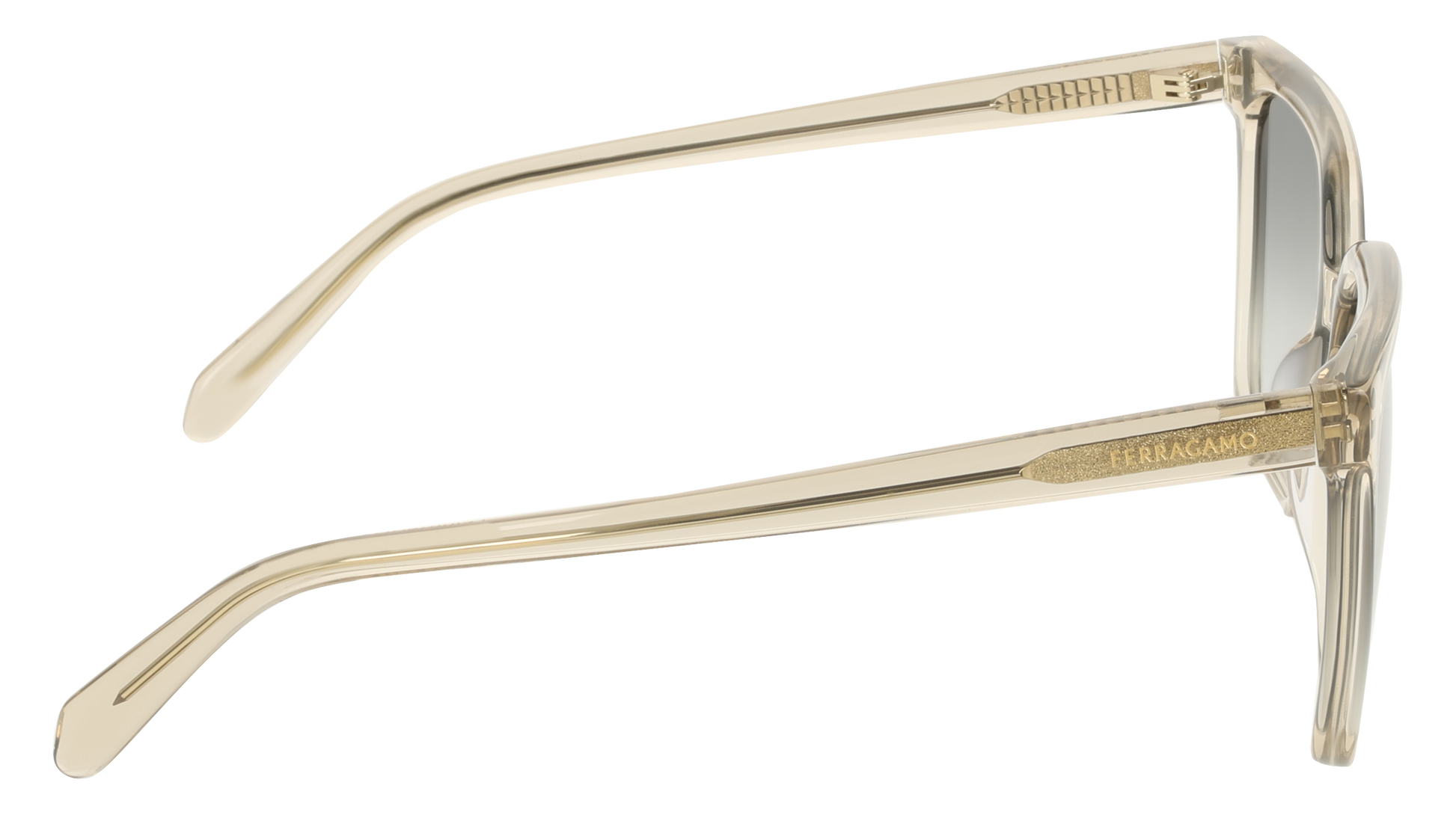 Ferragamo SF2102S 313