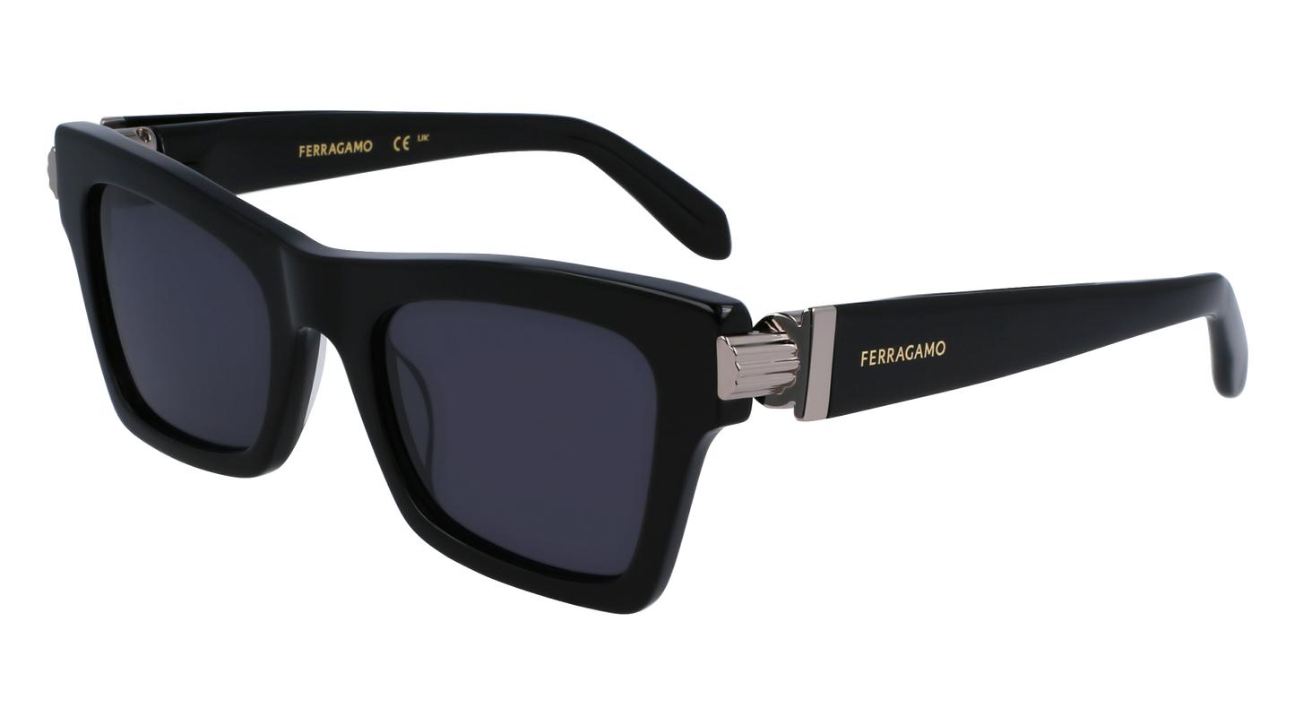 FERRAGAMO Sunglasses SF2013S 1 52