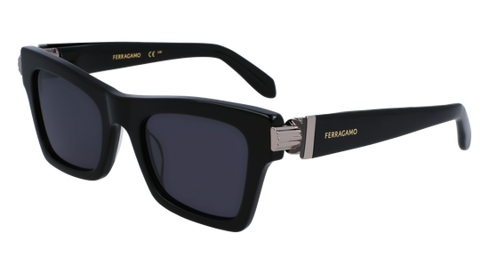 FERRAGAMO Sunglasses SF2013S 1 52