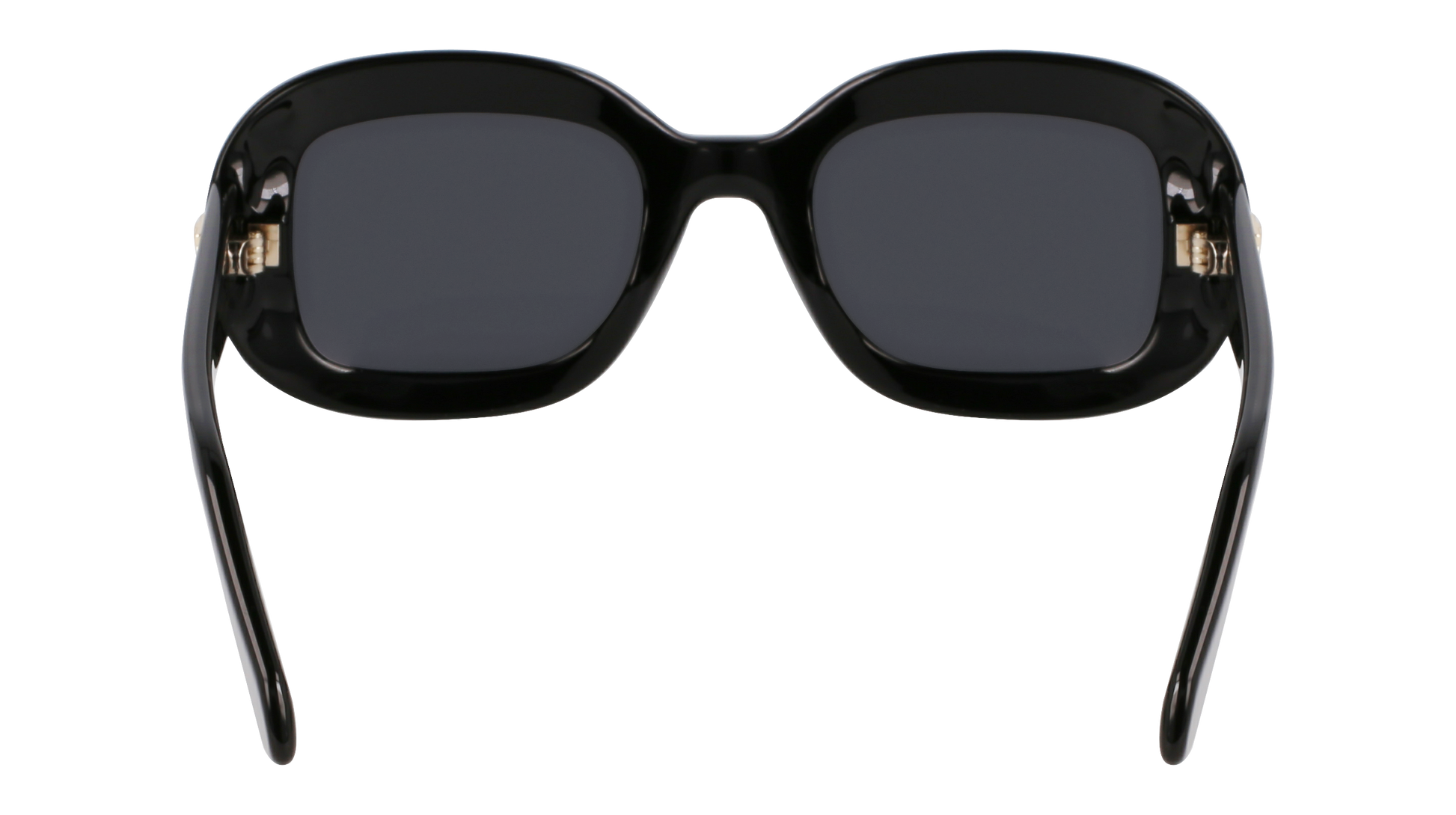 FERRAGAMO Sunglasses SF2038SE 1 51