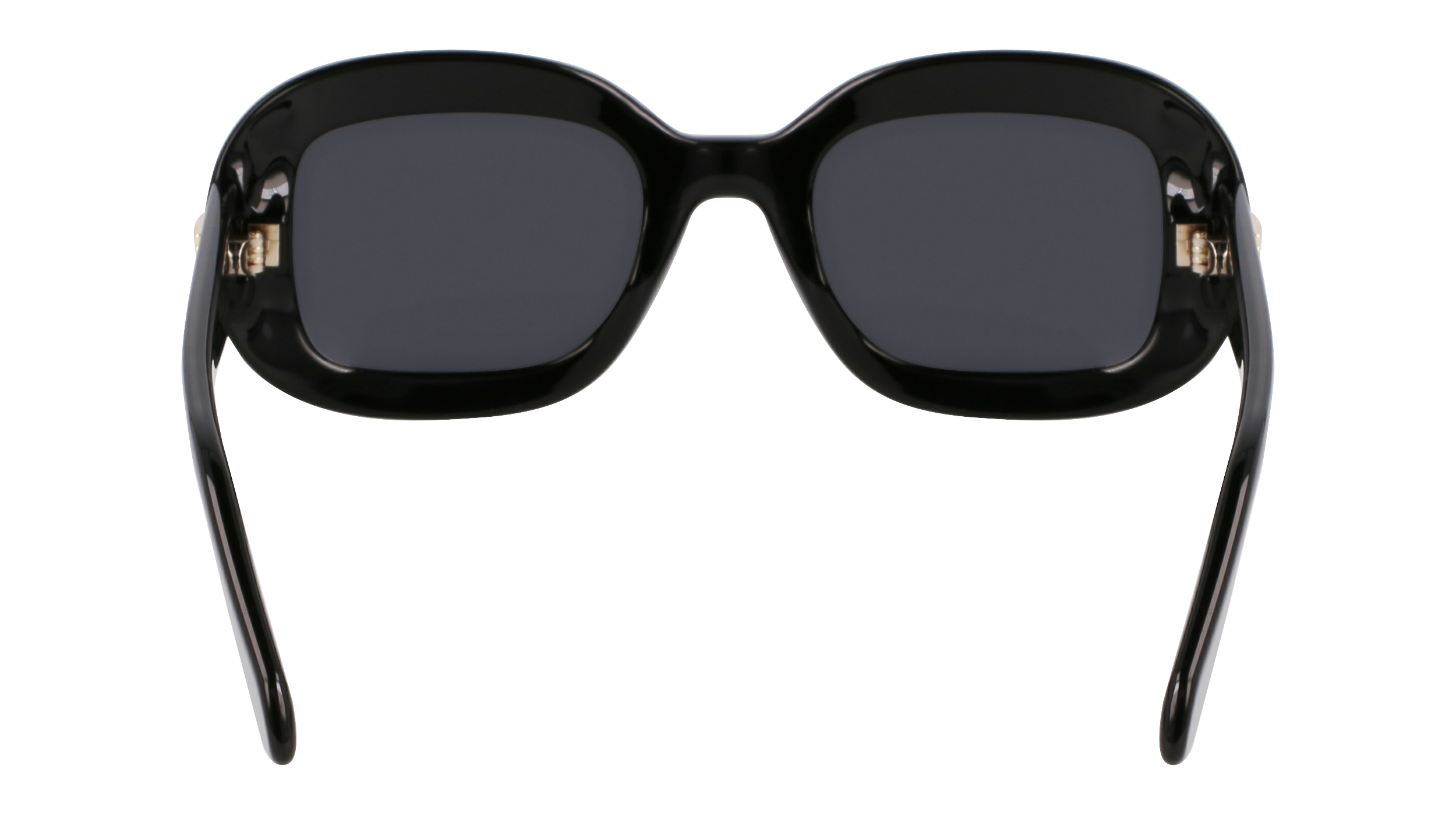 FERRAGAMO Sunglasses SF2038SE 1 51