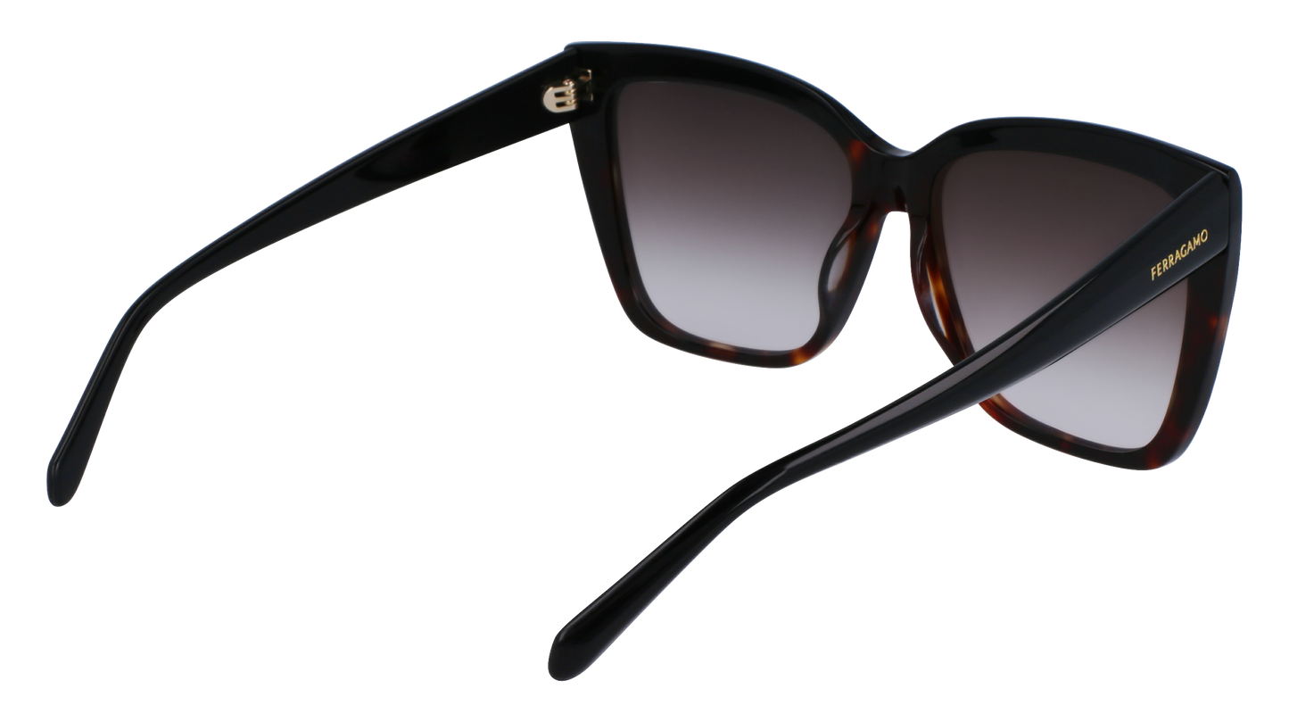 FERRAGAMO Sunglasses SF1102S 6 58