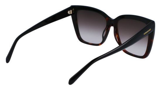 FERRAGAMO Sunglasses SF1102S 6 58