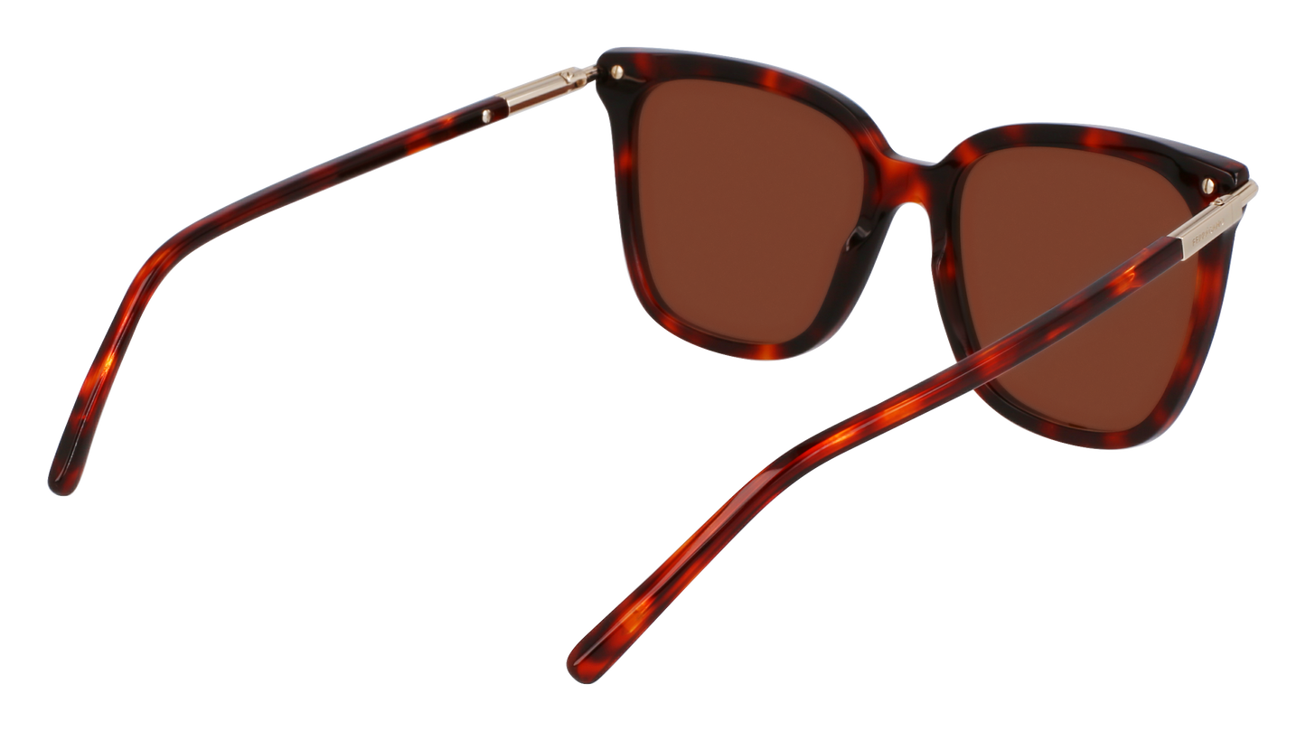 FERRAGAMO Sunglasses SF2037S 640 56