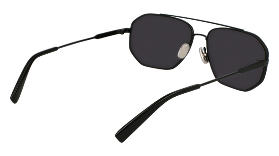 FERRAGAMO Sunglasses SF303SLN 1 60