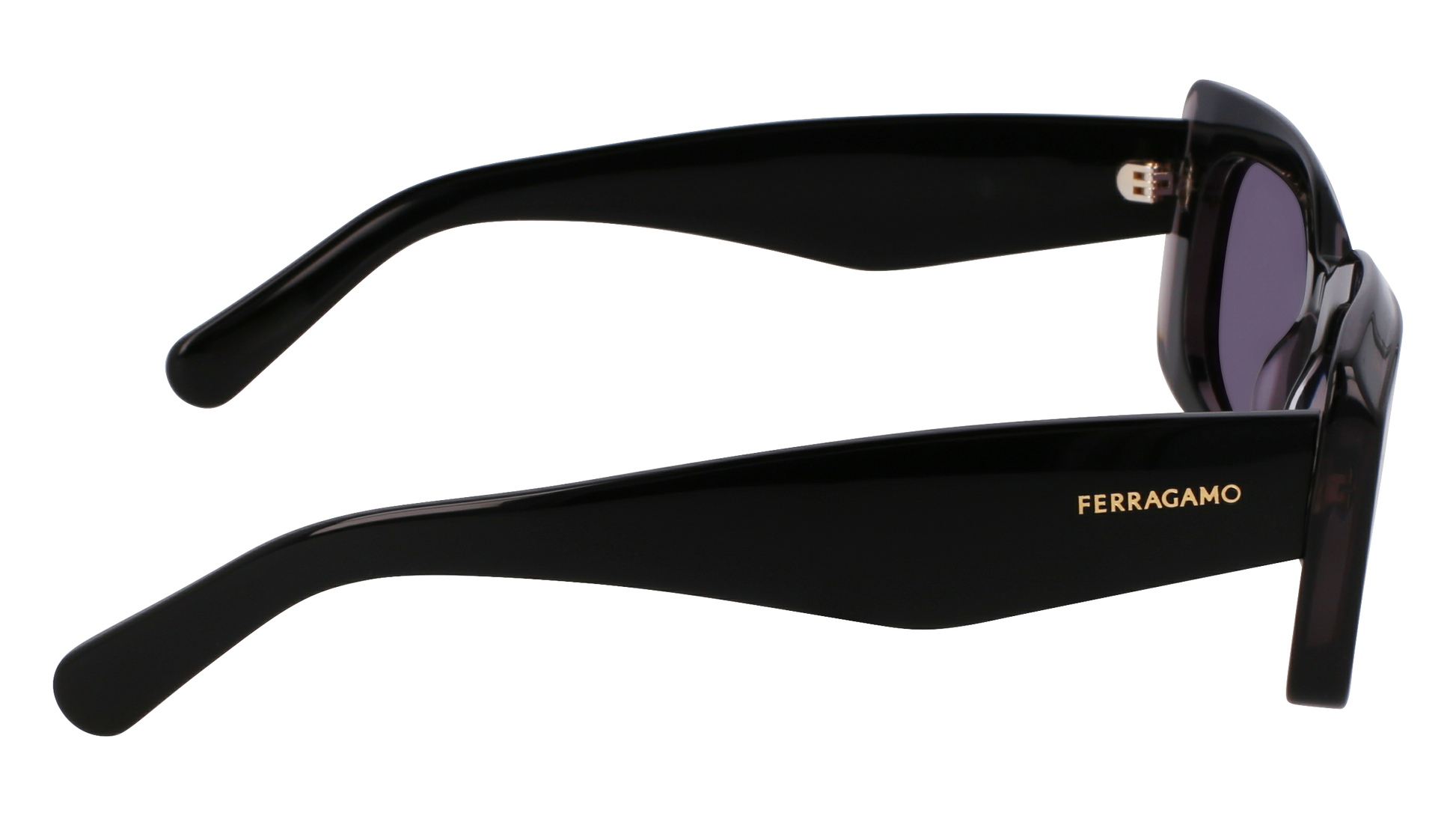 FERRAGAMO Sunglasses SF1079SN 22 54