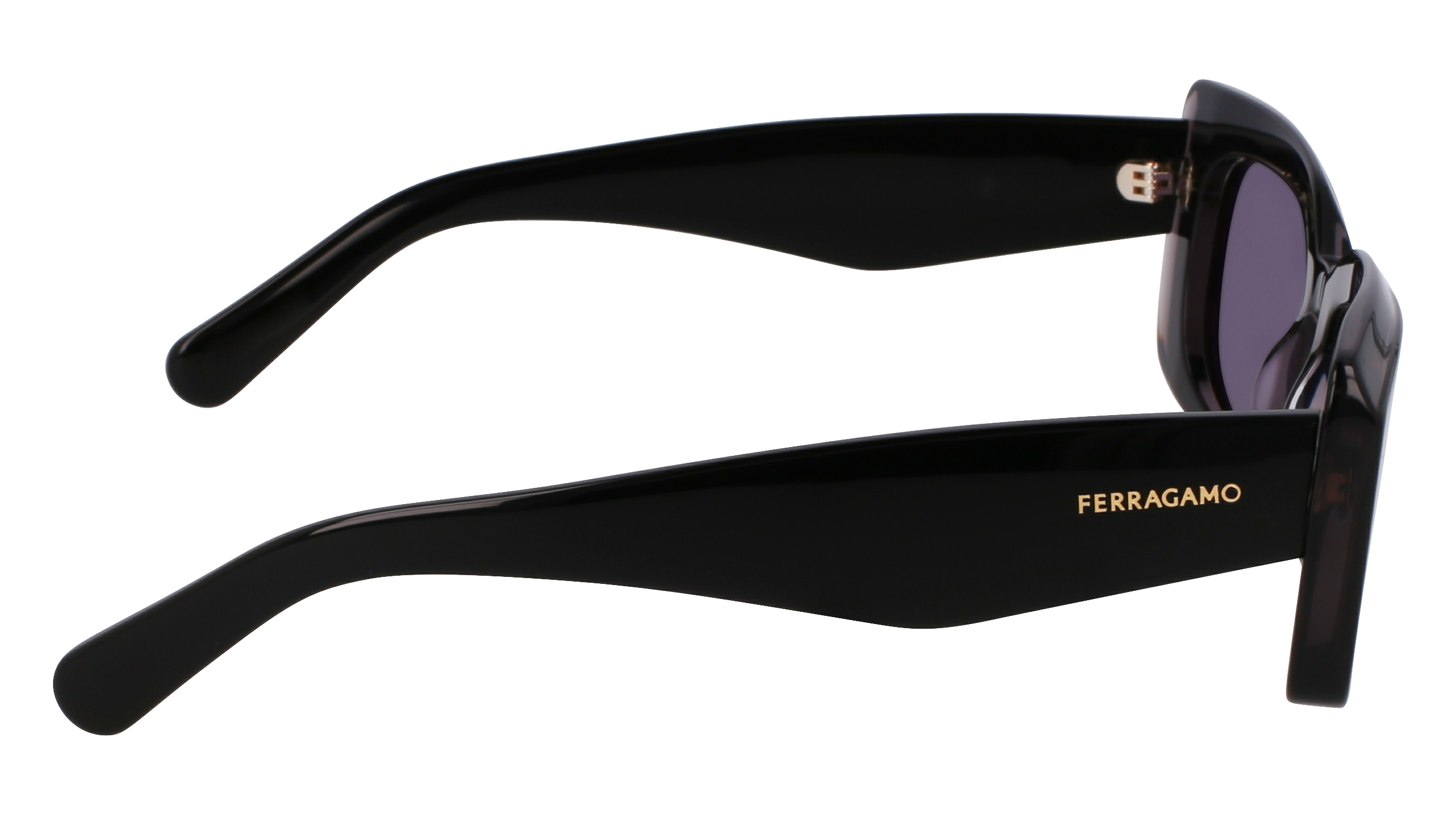 FERRAGAMO Sunglasses SF1079SN 22 54