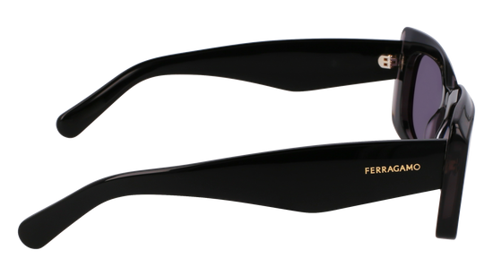 FERRAGAMO Sunglasses SF1079SN 22 54