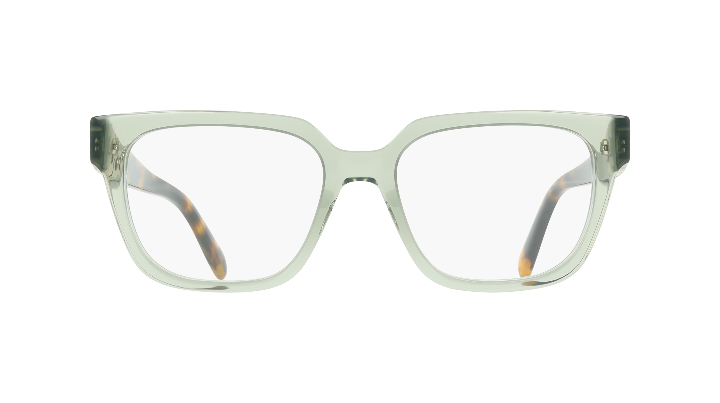 Ferragamo SF3056 313