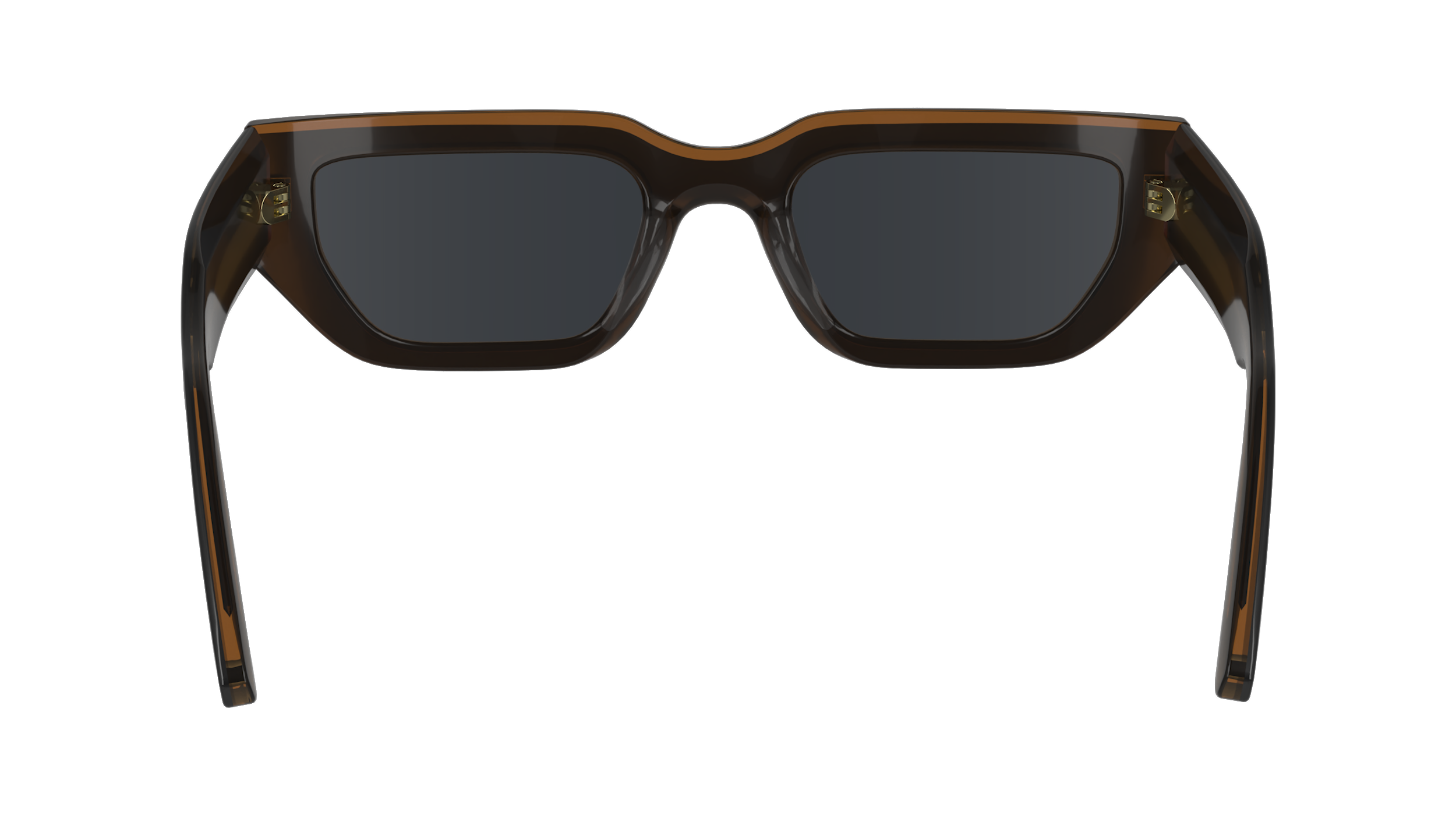 CALVIN KLEIN Sunglasses CK24500S 2 51