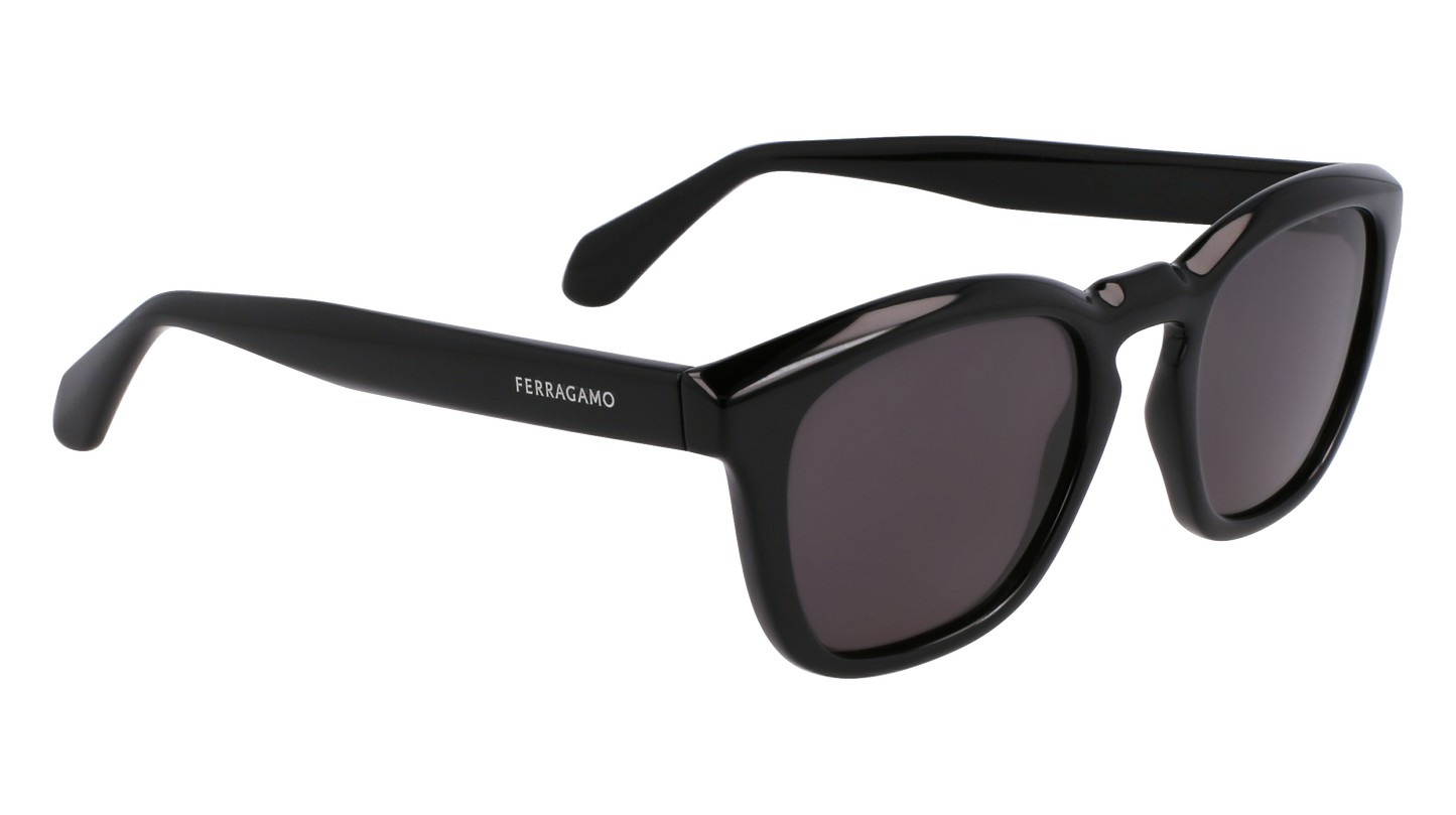 FERRAGAMO Sunglasses SF2040SE 1 50