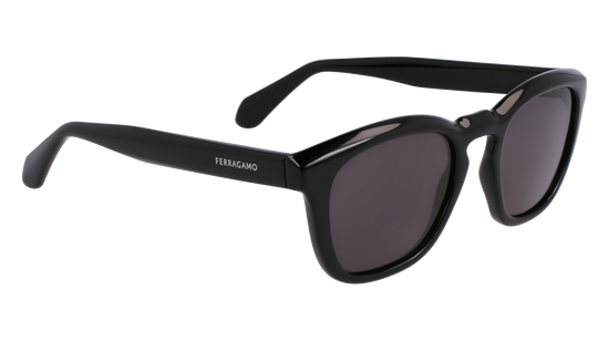 FERRAGAMO Sunglasses SF2040SE 1 50