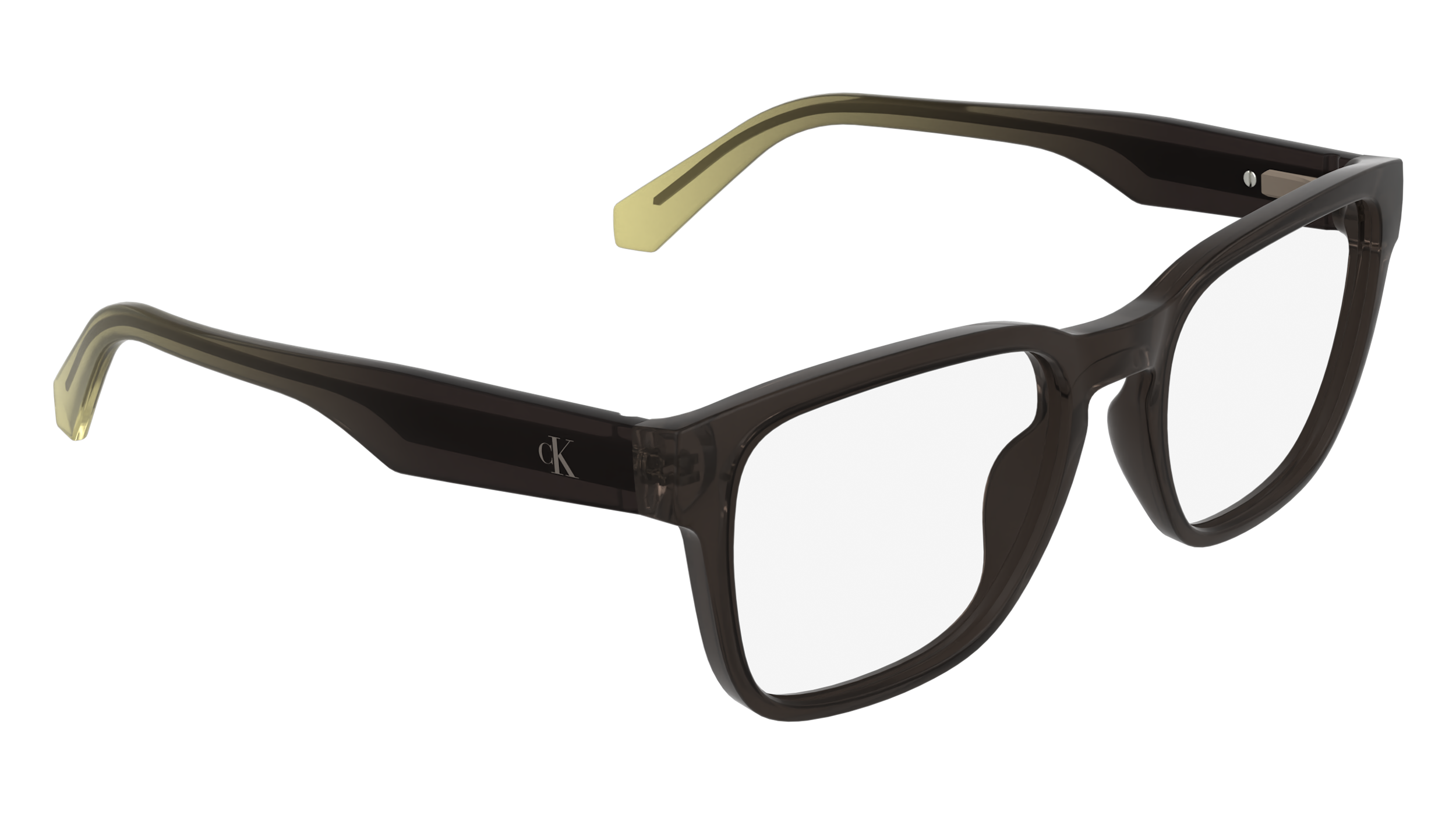 Calvin Klein Jeans CKJ26611 210