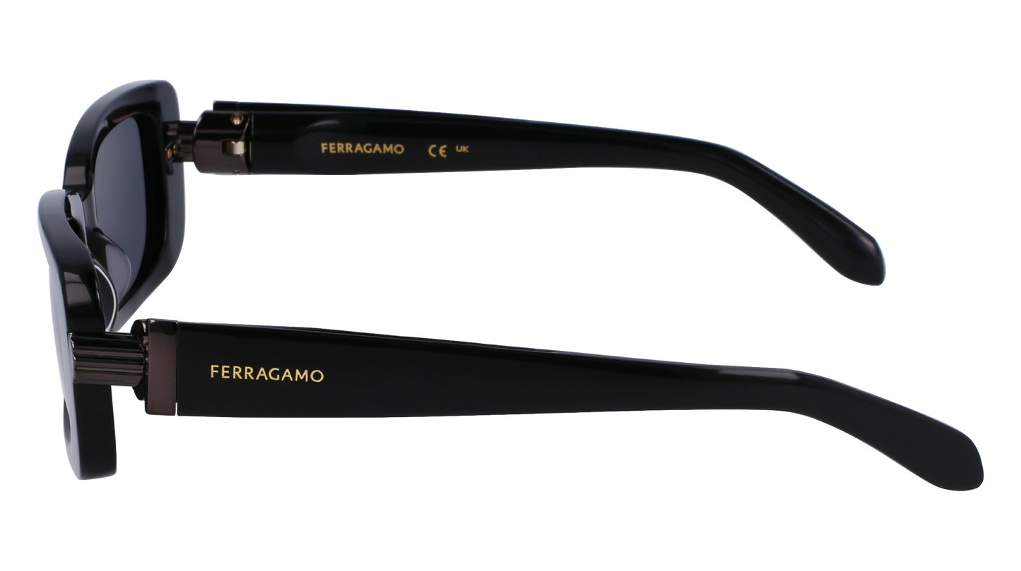 FERRAGAMO Sunglasses SF1105S 1 52